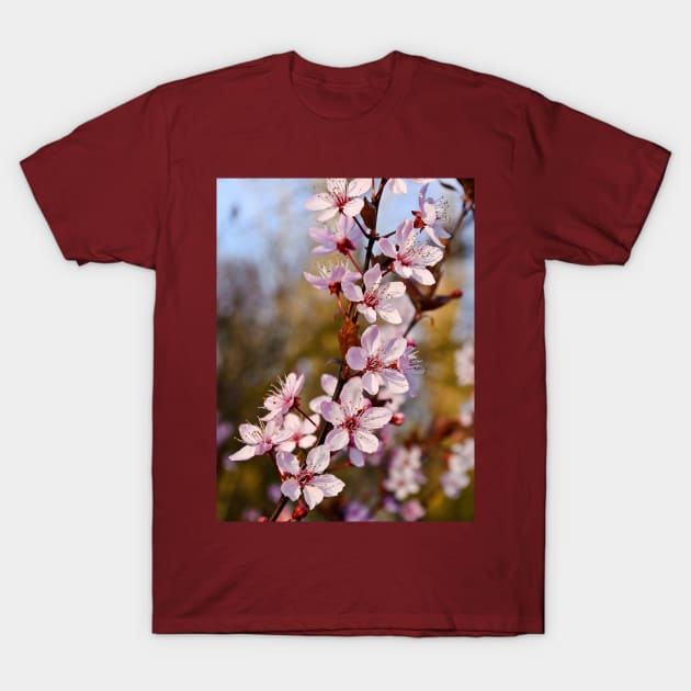 Almond Blossoms in Spring T-Shirt by BonniePhantasm